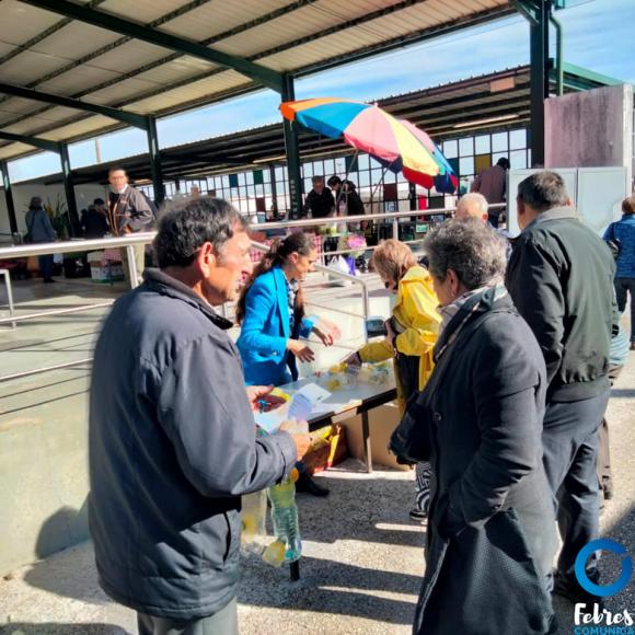 Distribui&ccedil;&atilde;o de armadilhas para a "vespa asi&aacute;tica"