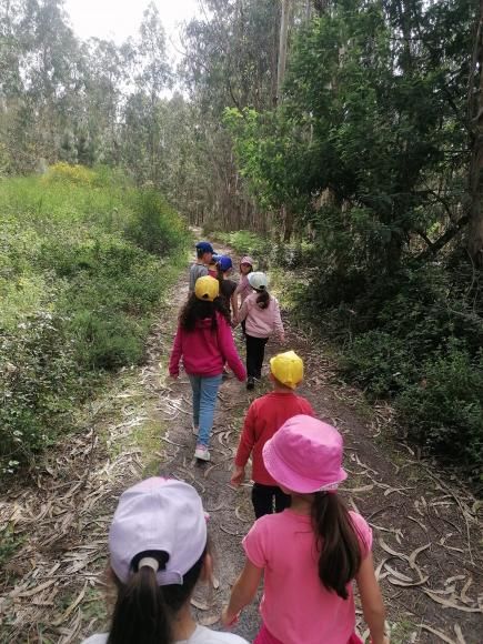 Caminhada florestal