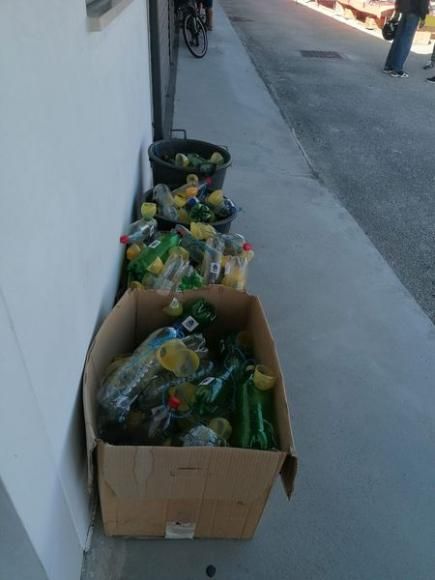 Distribui&ccedil;&atilde;o de Armadilhas para vespa velutina, vespa asi&aacute;tica
