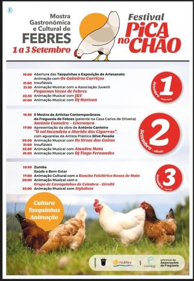 Festival Pica no Ch&atilde;o