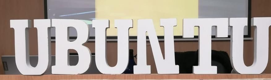  Forma&ccedil;&atilde;o como L&iacute;deres UBUNTU em Febres