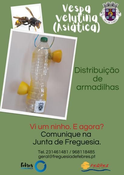 Armadilhas para a Vespa Velutina 