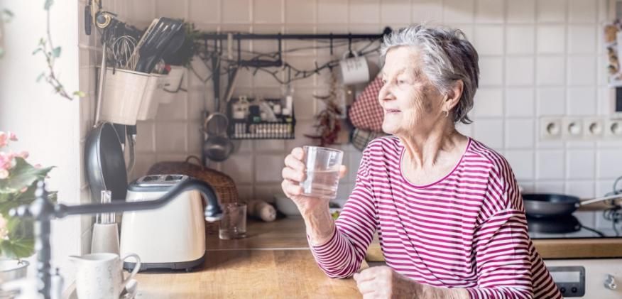 AGEING IN PLACE: Estudo dos fatores que contribuem para o envelhecimento no domic&iacute;lio