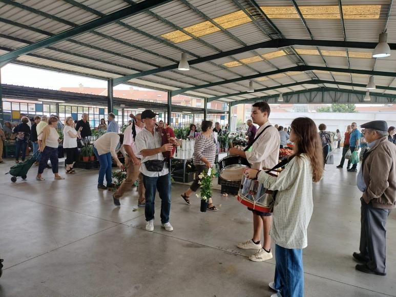 Festival Pica no Ch&atilde;o