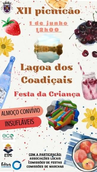 XII Picnic&atilde;o e Festa da Crian&ccedil;a