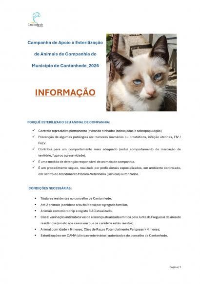 Encontra-se a decorrer a Campanha de Apoio &agrave; Esteriliza&ccedil;&atilde;o de Animais de Companhia do Munic&iacute;pio de Cantanhede _ 2026