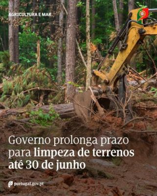 Governo prolonga prazo para lipeza de terrenos