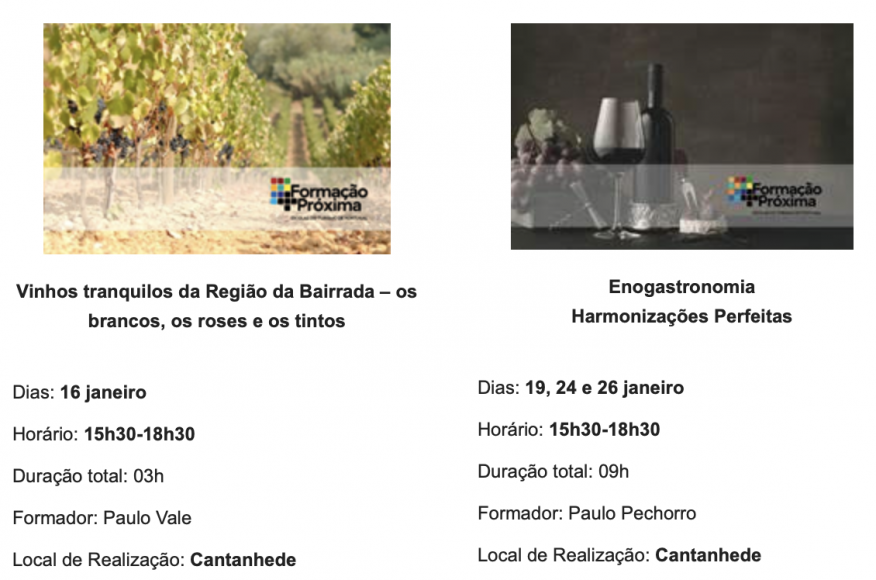Munic&iacute;pio de Cantanhede promove forma&ccedil;&otilde;es gratuitas no &acirc;mbito do Programa Forma&ccedil;&atilde;o + Pr&oacute;xima