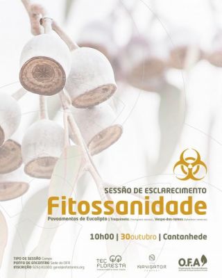 Sess&atilde;o de informa&ccedil;&atilde;o dedicada &agrave;s pragas e doen&ccedil;as do eucalipto