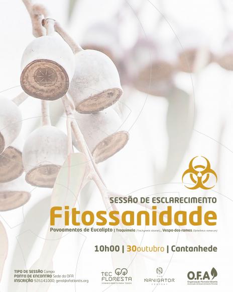 Sess&atilde;o de informa&ccedil;&atilde;o dedicada &agrave;s pragas e doen&ccedil;as do eucalipto