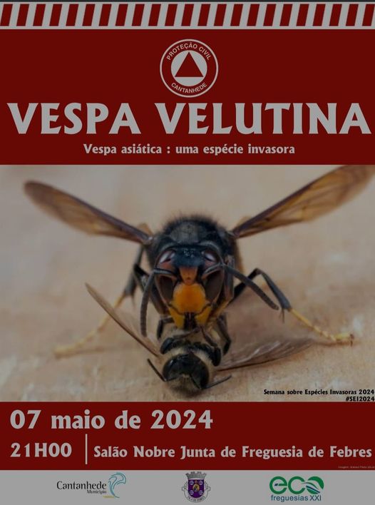  Ação de formação e/ou sensibilização sobre espécies invasoras na Freguesia de Febres, subordinada ao tema: Vespa Velutina (Vespa Asiática)