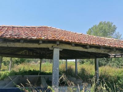 Fonte e Lavadouro de Balsas